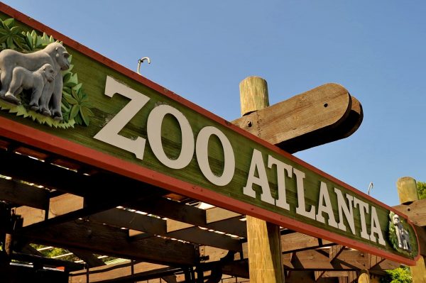 Zoo Atlanta Avio karte