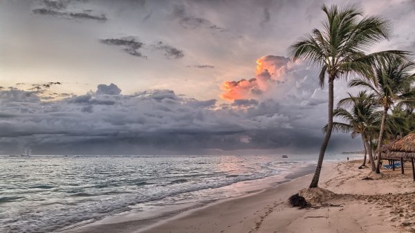 Top destinacije - Avio karte za Dominikansku Republiku - Plaža