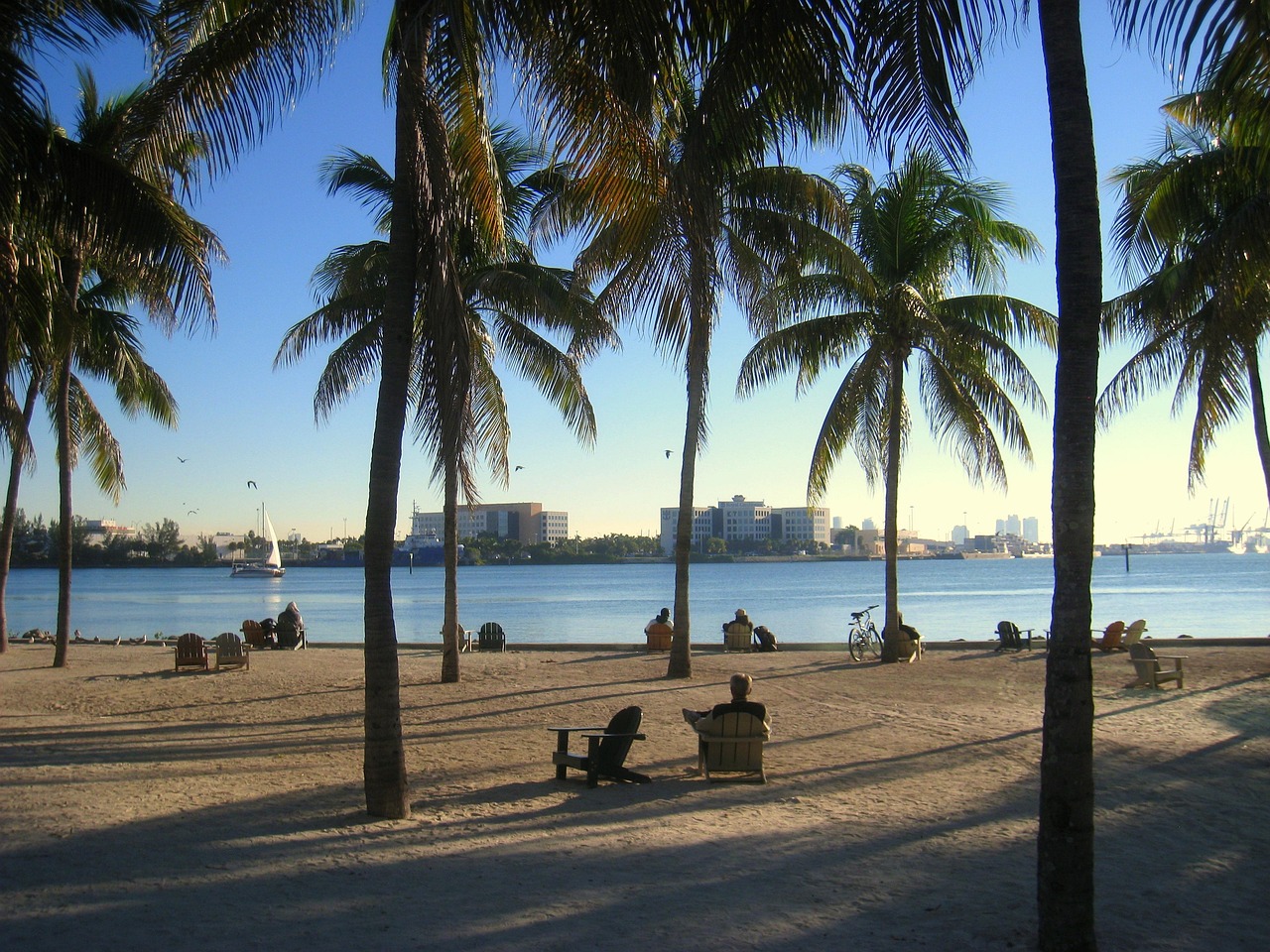 Peščana plaža i palme u Fort Loderdejlu