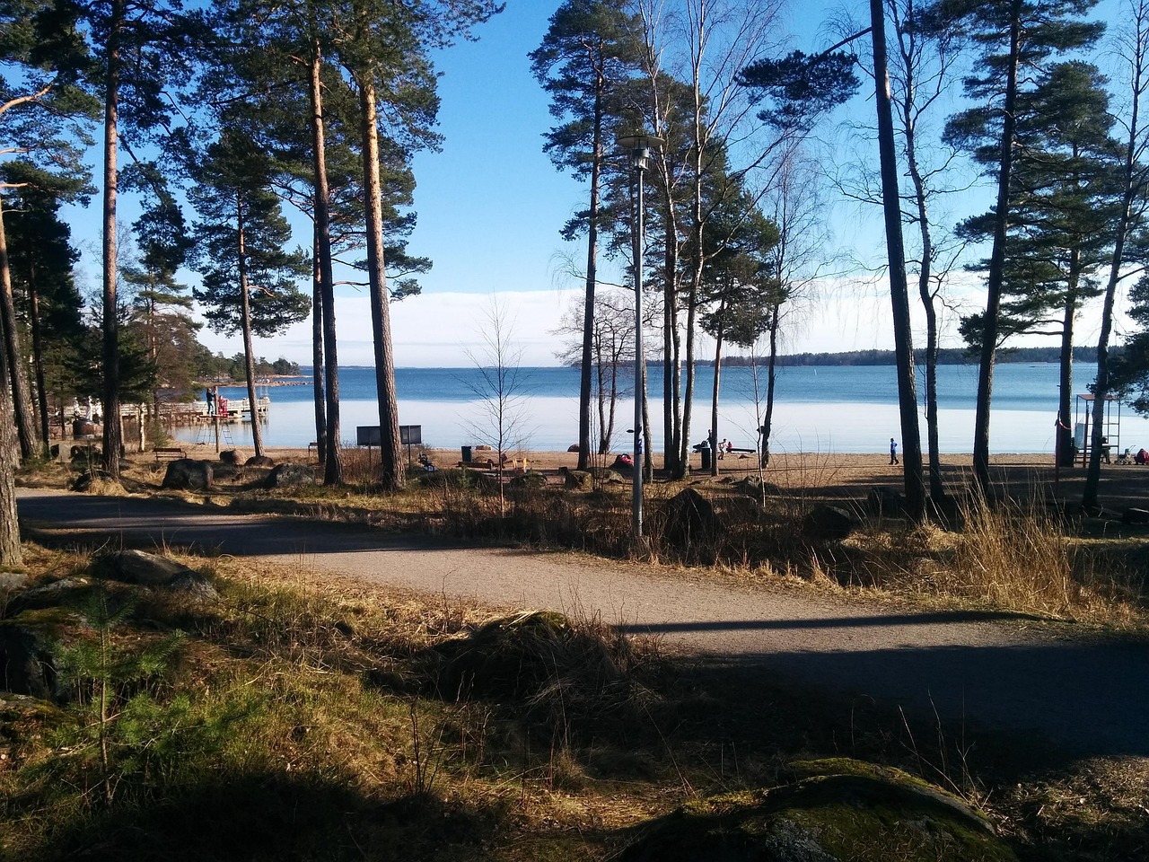 Borova šuma i plaža u Finskoj
