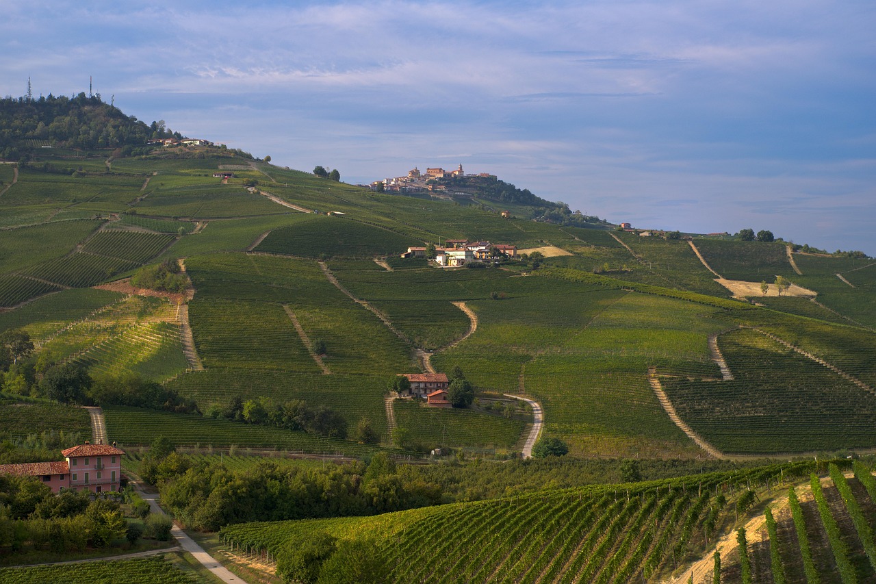 Avio karte Beograd Torino – vinogradi Langhe u Pijemontu, izlet iz Torina