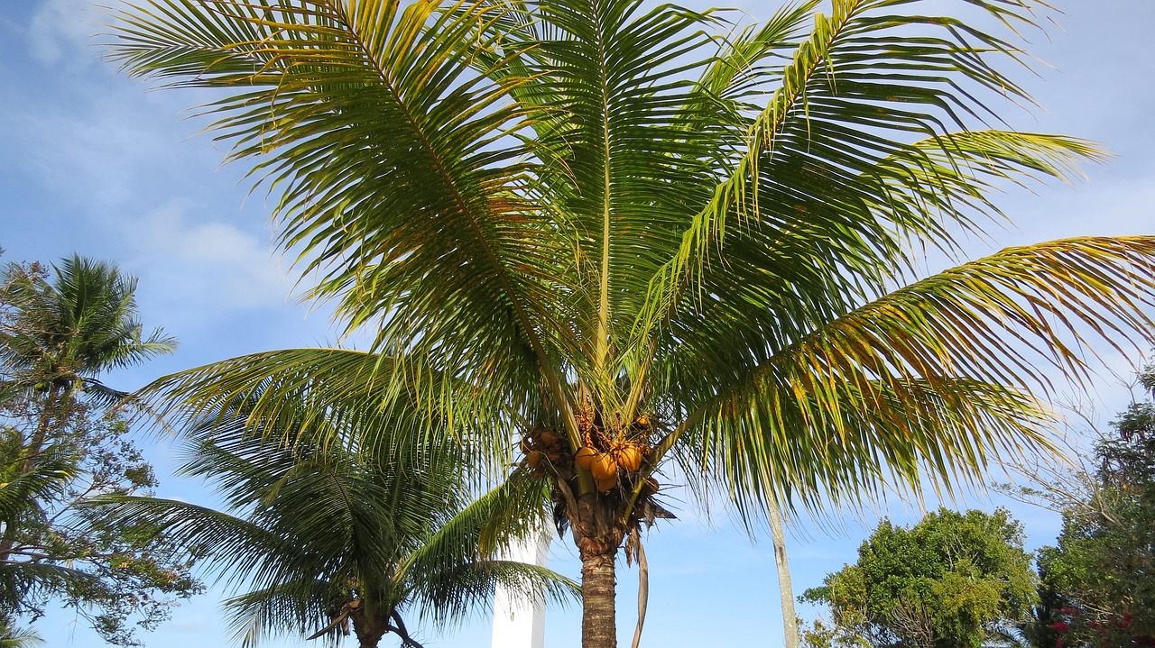 obala kod Porto Segura