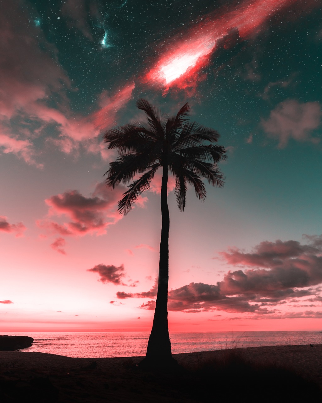 palme na plaži Sejšela