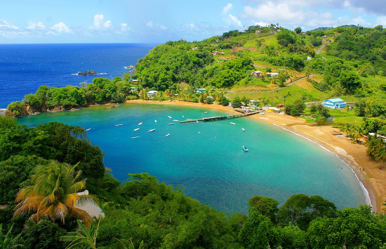 Beograd Trinidad i Tobago 1 Avio karte Beograd Trinidad i Tobago – zaliv na ostrvu Tobago