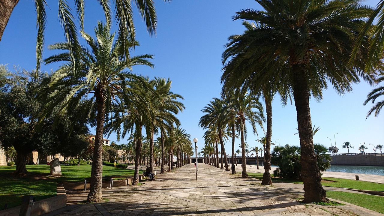Avio karte Budimpešta Majorka – Balearska ostrva